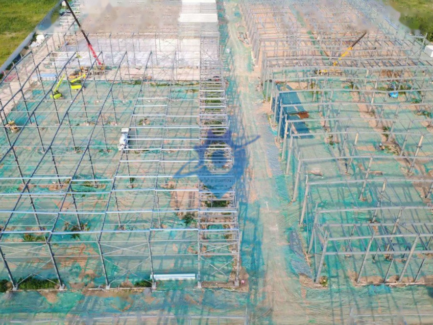 新光耀激光科技股12米高的单层钢结构厂房